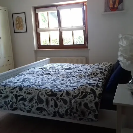 Wiesmühlstrasse Apartment *